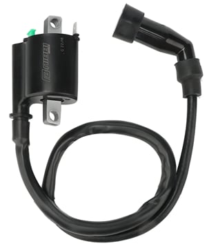 Ignition coil Nibbi racing CG